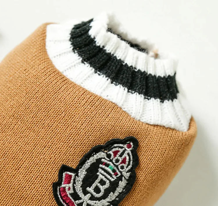 Knitted V-Neck Pet Vest