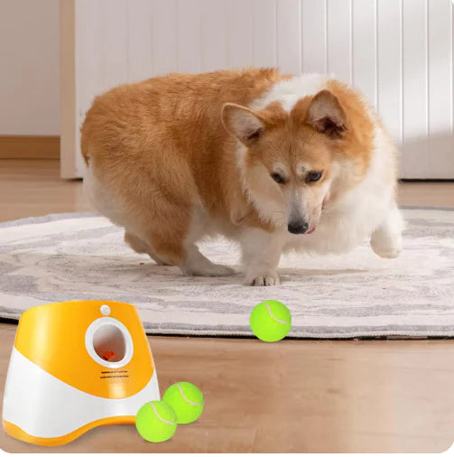 PlayMate™ Smart Ball Launcher