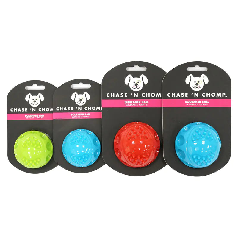 Bouncy Chew Ball for Dogs