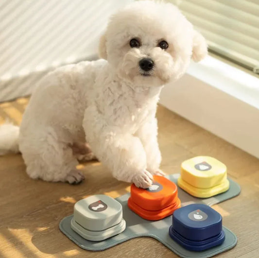 PawTalk™