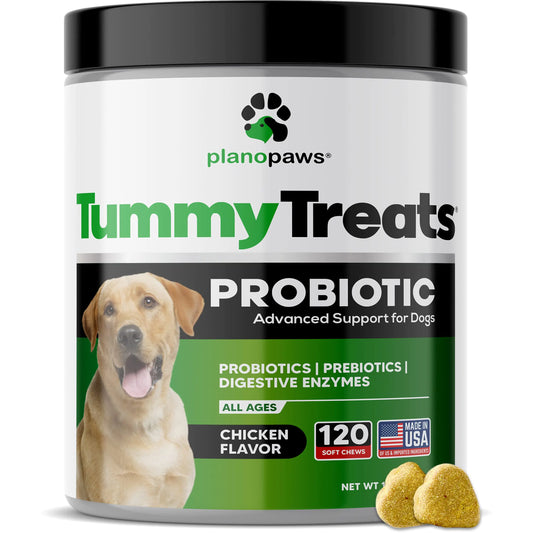 Tummy Treats – Premium Soft Chew Probiotics for Dogs