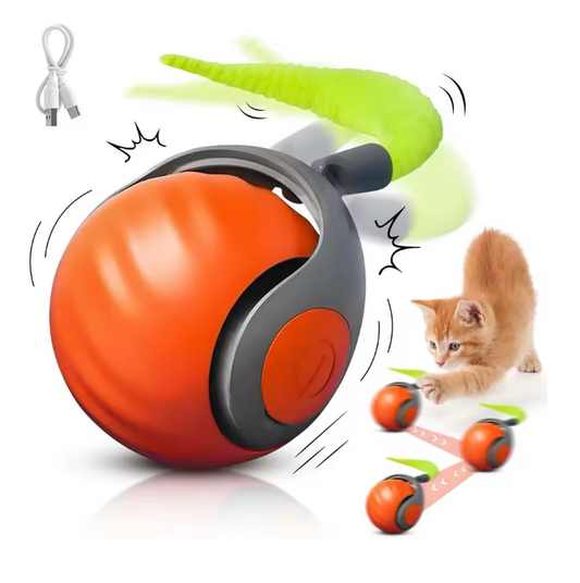 PawPal™ Motion Plush Ball