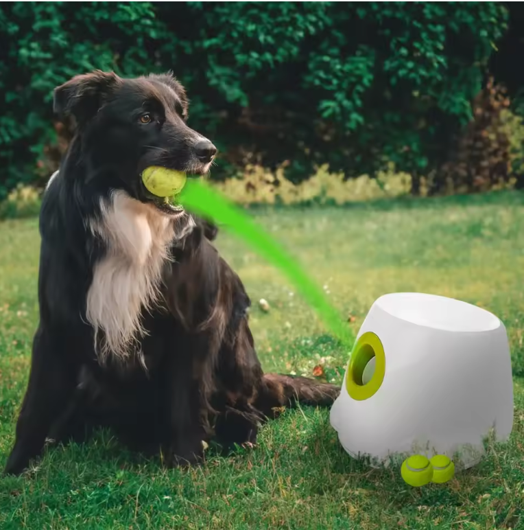 PlayMate™ Intelligenter Ballwerfer