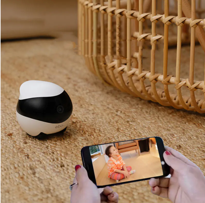 PawBot™ – Intelligenter mobiler Roboter für Haustiere