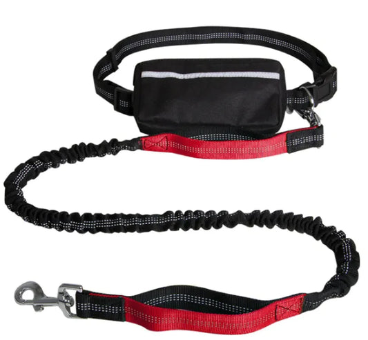 EasyWalk™ Reflective Hands-Free Leash