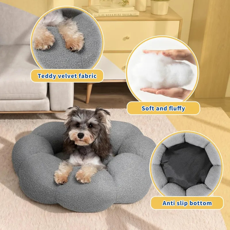 DreamCurl™ Calming Donut Bed for Cats & Small Dogs