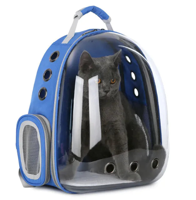 PawPorter™